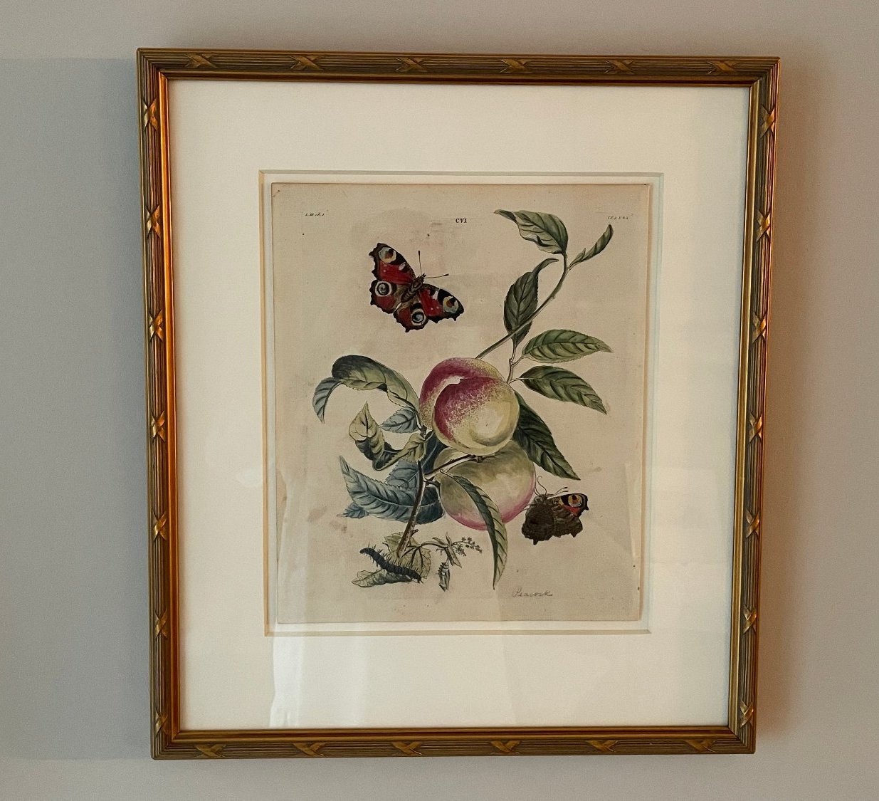 Wilkes’s Peach & Butterfly Engraving