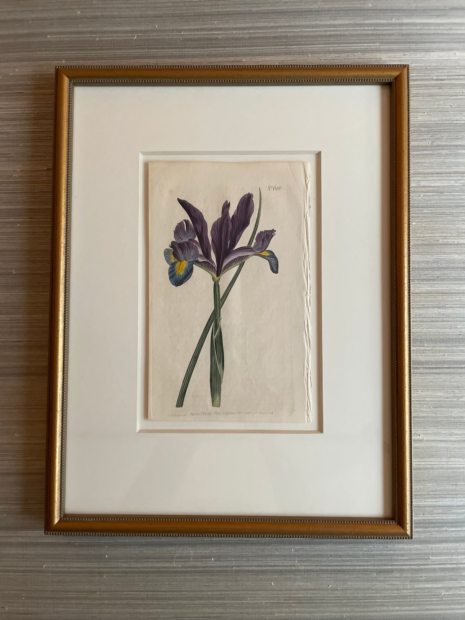 antique botanical print, framed artwork, ready to ship