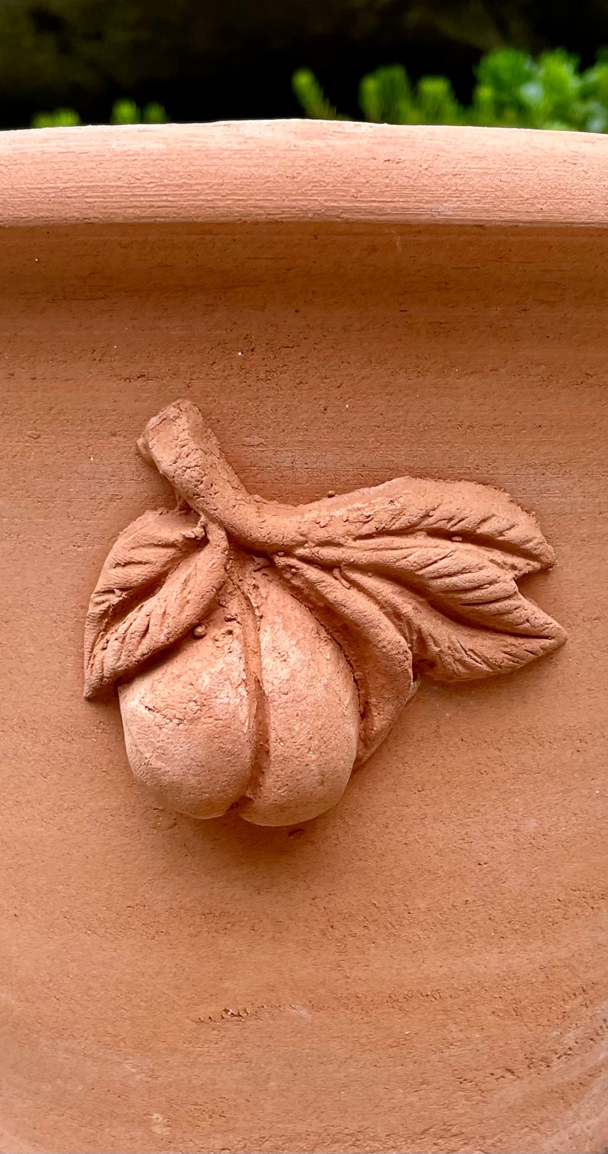 Connoisseur’s Collection Peach Pot