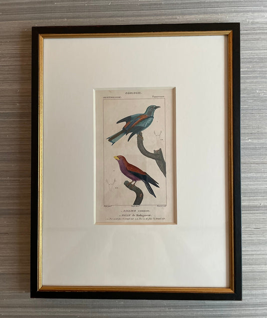 antique bird print, framed artwork, ready to ship