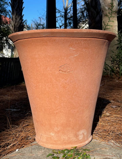 Impruneta Camellia Vase