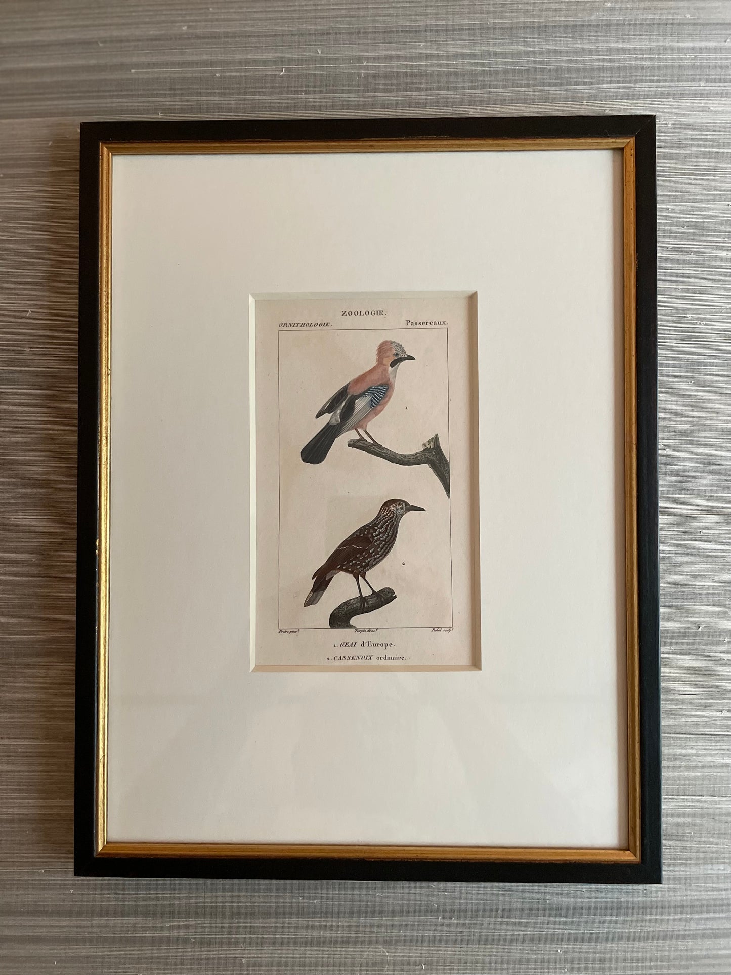 Turpin Bird Engravings (Set of 4)