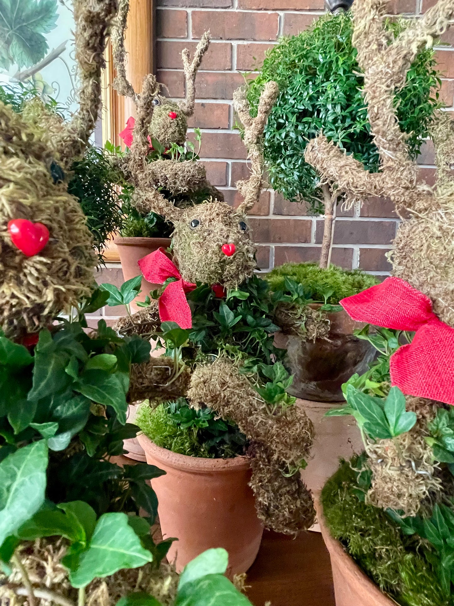 Topiaries: Ivy/Moss + Ball on Stem