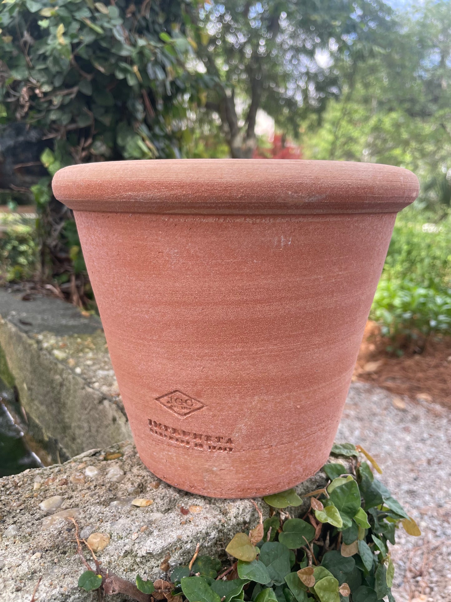 Hamlett Pot