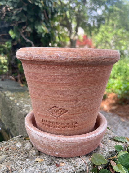 Hamlett Pot