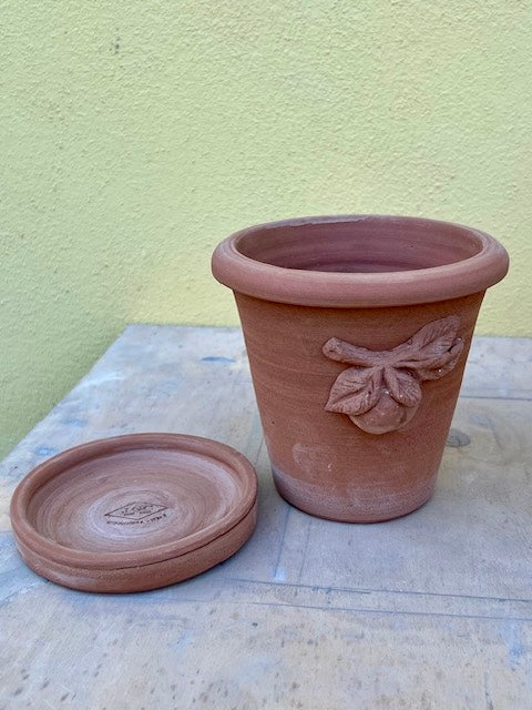 terra cotta peach pot with saucer