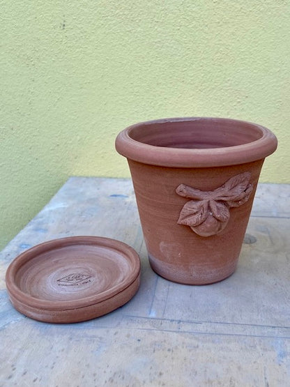 terra cotta peach pot with saucer