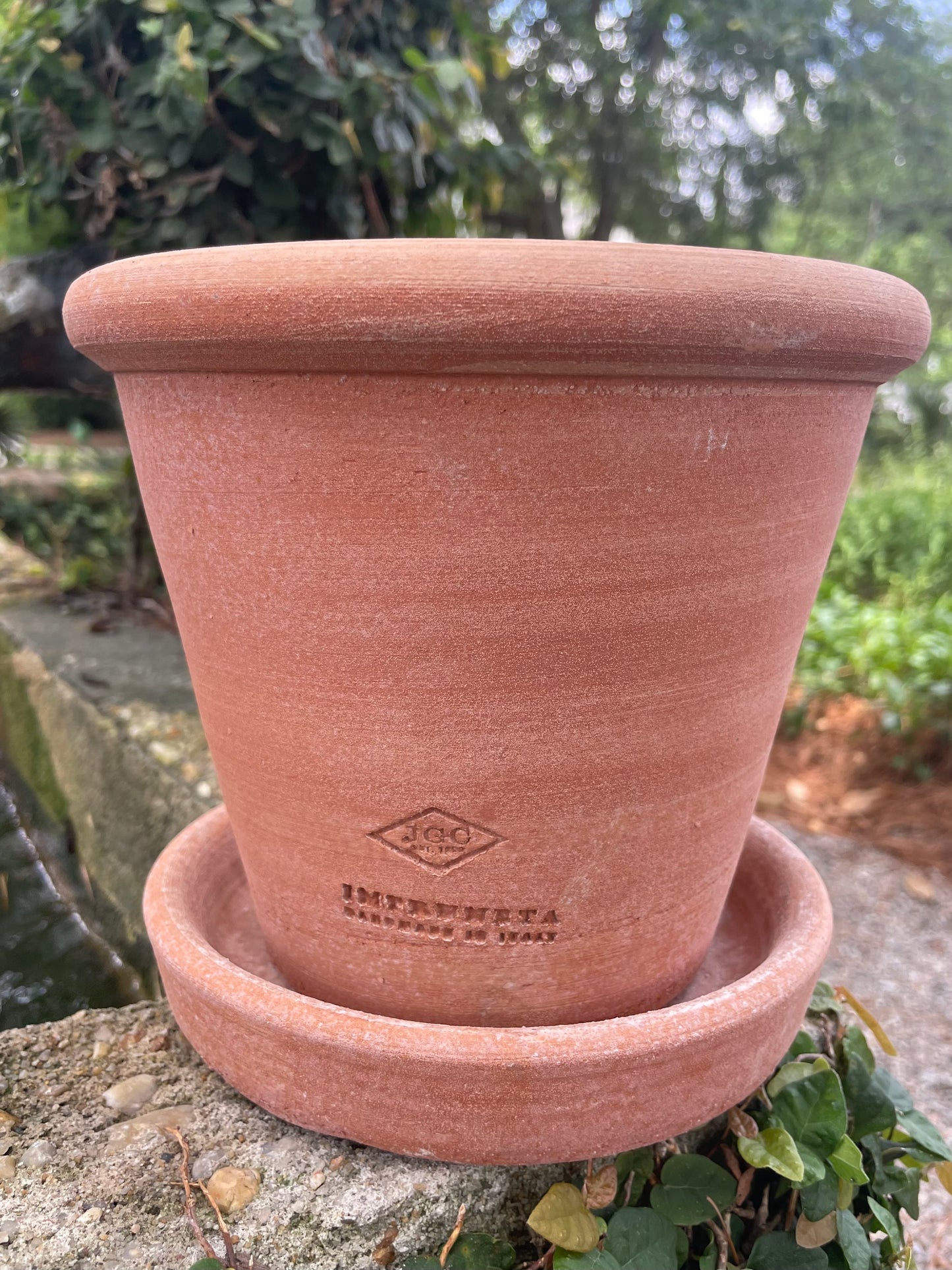 Hamlett Pot