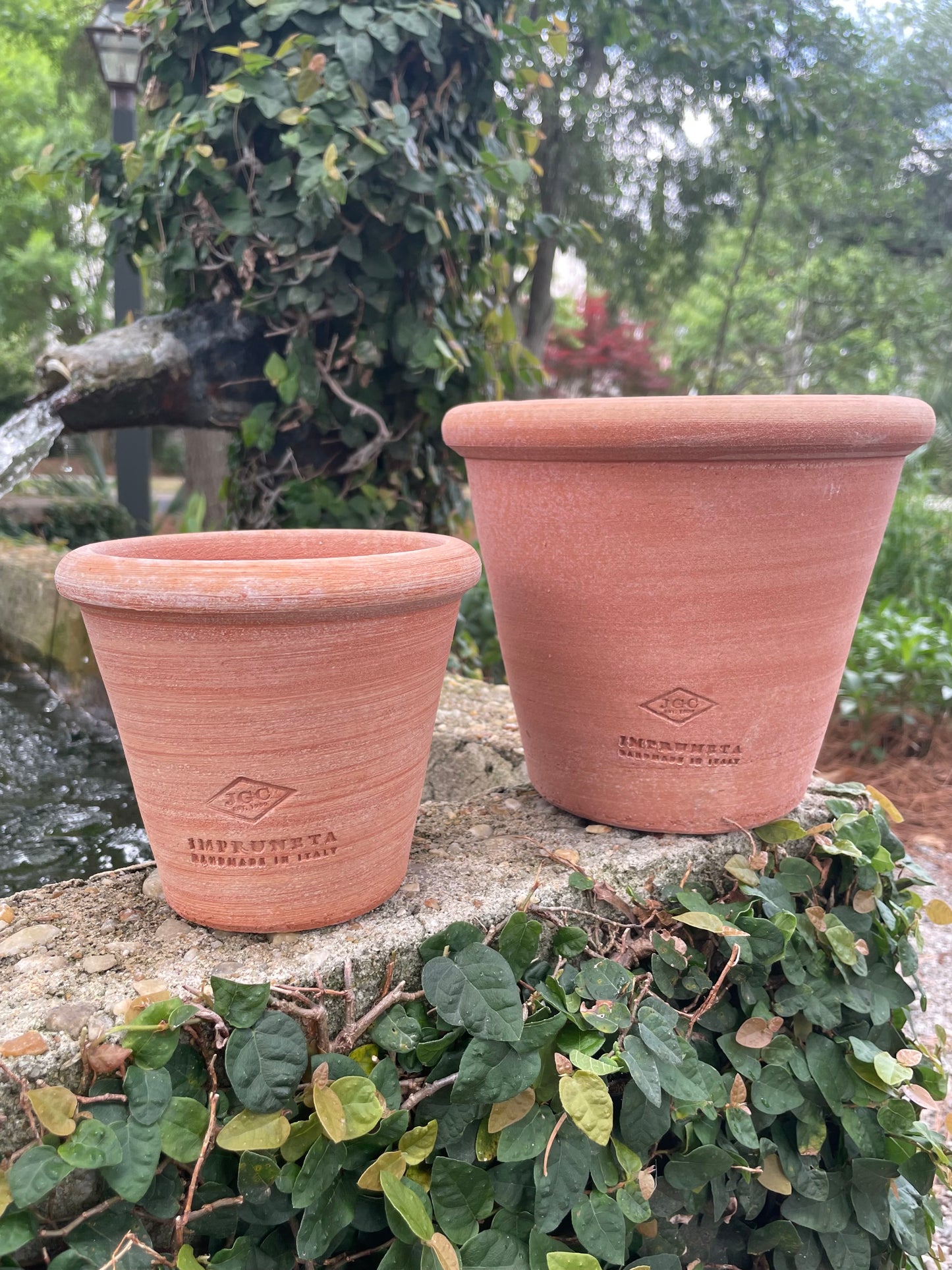 Hamlett Pot