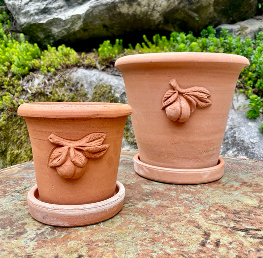 Connoisseur’s Collection Peach Pot