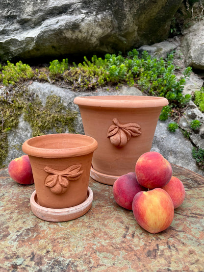 Connoisseur’s Collection Peach Pot