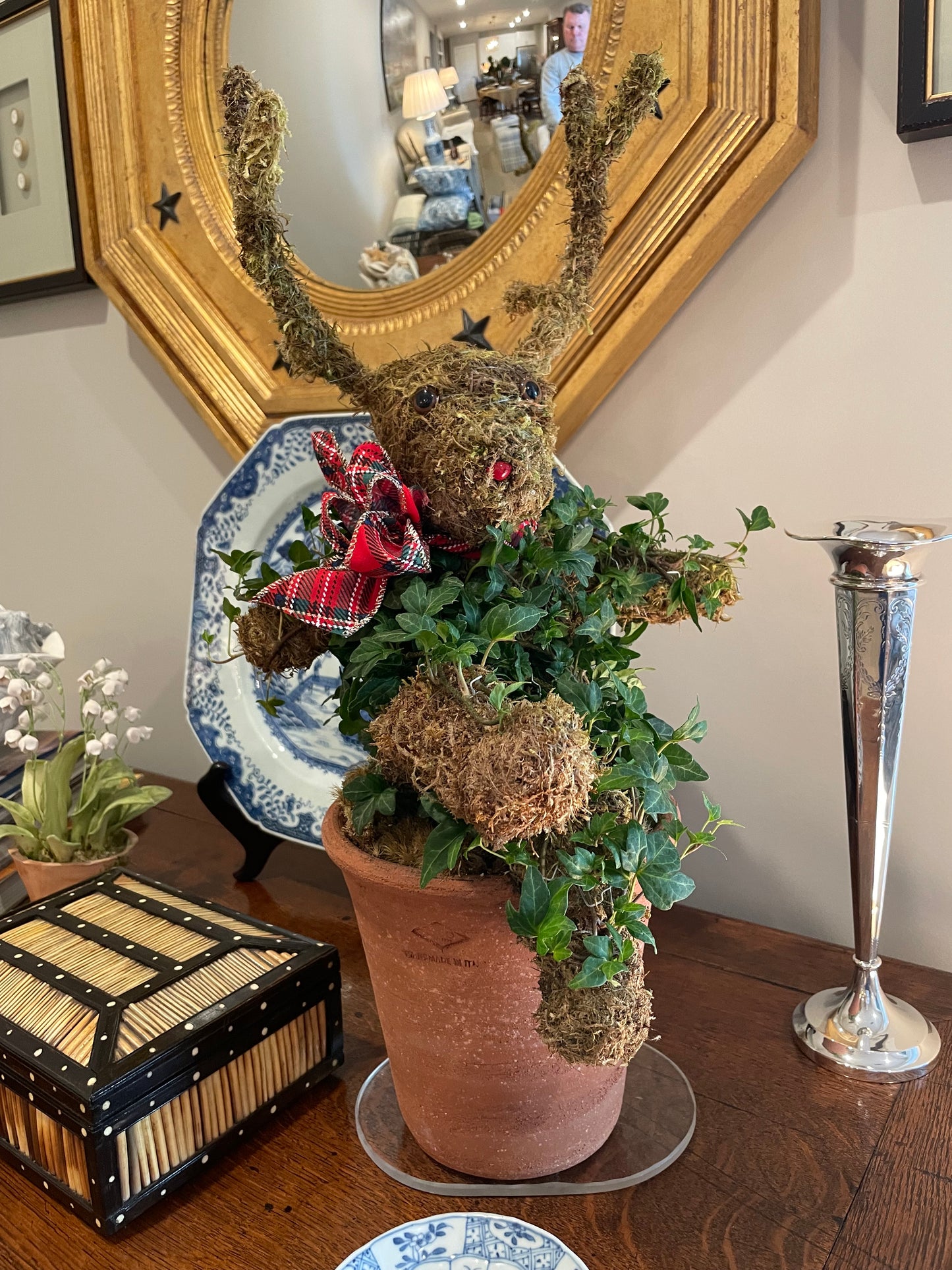 Ivy/Moss Topiaries