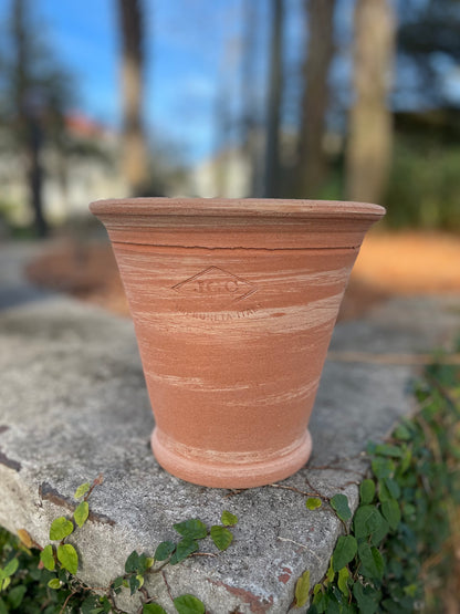 ready to ship Italian terra cotta pot, Camellia Pot