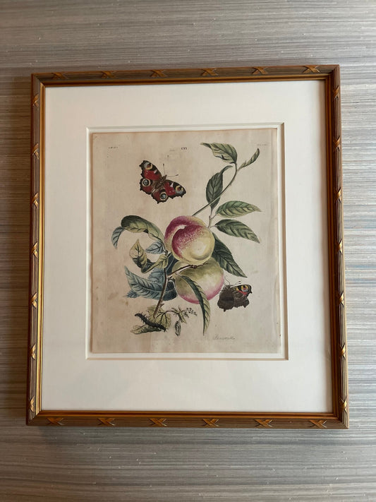 antique peach and butterfly print, framed artwork, ready to ship